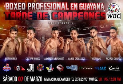 promotor de boxeo profesional @teamboxinghr