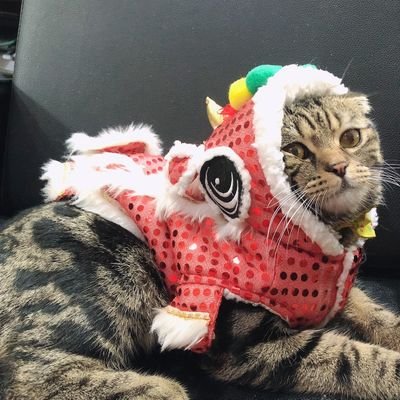 E7NZg5Ewfn1Xpnu's profile picture. แอบเย็ดๆ