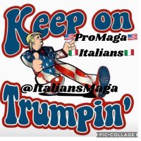 LadyDi 66🇺🇸🇮🇹🍕🍺🌟🌟🌟(@AulettoDiane) 's Twitter Profileg