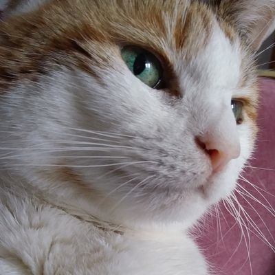 clemmy1111's profile picture. 