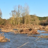 manifestlatordera (@manifestlatord1) 's Twitter Profile