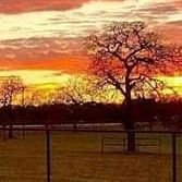 Discover the very best of the Texas Hill Country! Food, wine, events, hotels, B&B's, real estate, antiques and art.