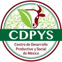 Centro de Desarrollo Productivo y Social de México(@cdpysMex) 's Twitter Profile Photo