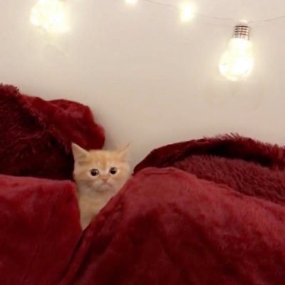 bodynobodyx's profile picture. xoxo