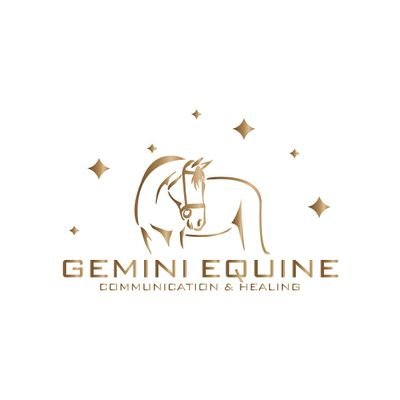 I am a Clairvoyant Reiki Master. I use these skills to connect with your animal to explain why your animals behave a certain way.....