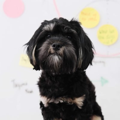 GoodDogWatson's profile picture. Doggo. Trying to help out the humans at @GPPi.