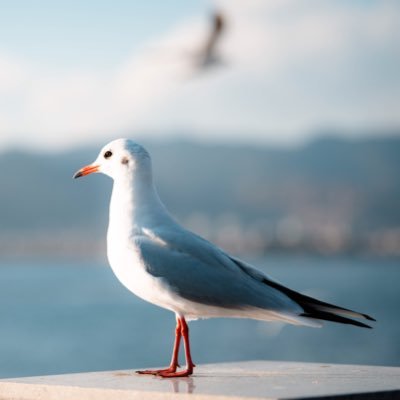 smithandy2020's profile picture. 