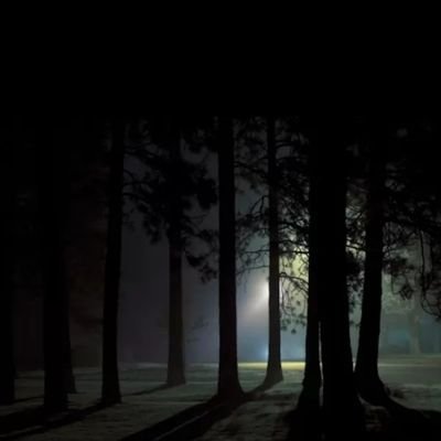 OprSLdmQUItxL5D's profile picture. 