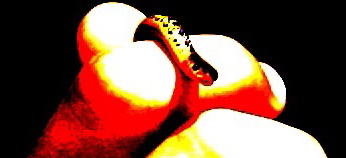 My tweet is basically about reptiles and i have a short show called i love snakes (about ten minutes) at http://t.co/8OO4YYMXxo