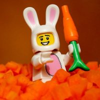 a fedup millennial (@sophduck) 's Twitter Profile Photo