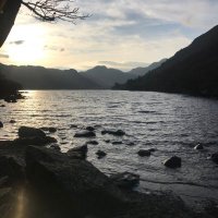 Nia Boughton (@niaboughton) 's Twitter Profile