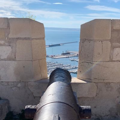 Alberto83195433's profile picture.