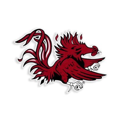 Group of fans exposing ELITE recruits to #GameCockNation
