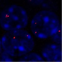 JiangLab (@jiang_lab_emory) 's Twitter Profile