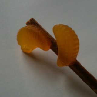 sjm25's profile picture. Stuart's the name, whisky's the game. That, and history. Occasional insights into a post-PhD life. All views are my own.