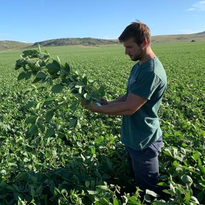 Ingeniero Agrónomo @fcabalcarce - Desarrollo de Mercado y Producto en @amautaagro