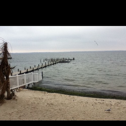 ramzev's profile picture. 