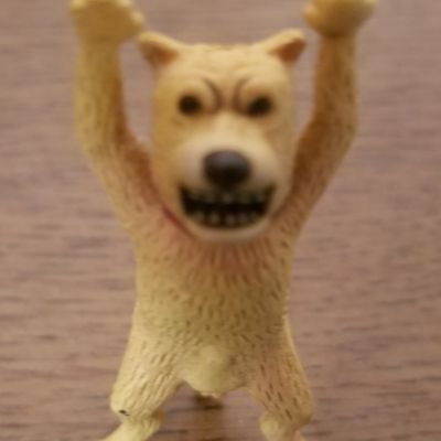 神奈川犬民 Ik9jbympwunrxca Twitter