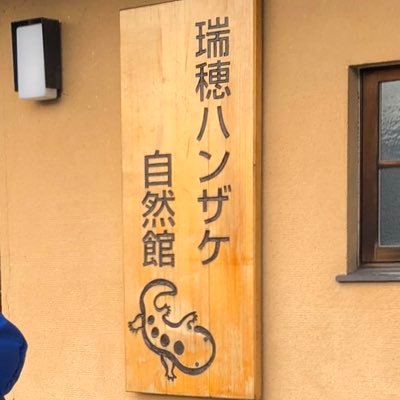 イクメンで国の特別天然記念物のオオサンショウウオが見られる、島根県邑南町のハンザケ自然館です。国内初、完全屋内環境での人工産卵にも成功しました https://t.co/9FFyBNNlRD #giantsalamander #オオサンショウウオ #ohnan #shimane #japan
