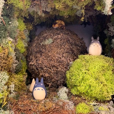 まゆまゆ さんのプロフィール写真
