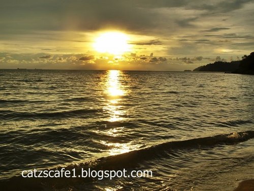 norfarashazwani's profile picture. 