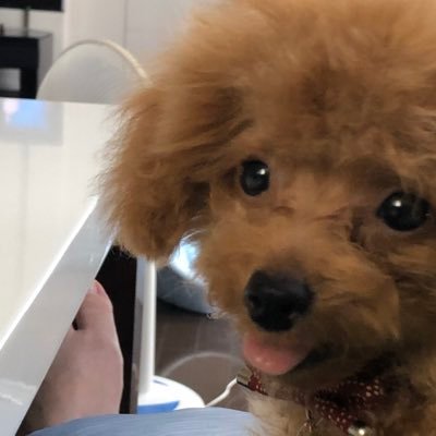 FFiNhHh2Zsh7UvT's profile picture. 