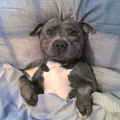 EsleySilva9's profile picture. Deus me livre