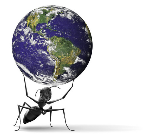 ATLAS BUG SOLUTIONS, INC. is the Northeast’s and Nevada’s “Premier” Pest Management Company. We specialize in the elimination and prevention of Bed Bugs.