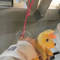 みけ🐱♡🍆 (@mikenasubee) 's Twitter Profile