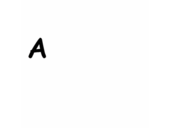 Maria Rita - @maria_ritz - Twitter