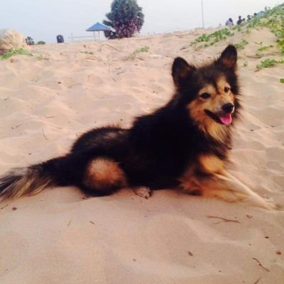 gkodees's profile picture. சுயமாக சிந்திக்க பிடிக்கும். நாம் தமிழர் கட்சி.