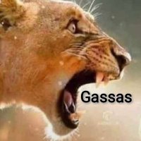 ๐๐ุงููุงุณุฑ๐๐ (@gassas950) 's Twitter Profile