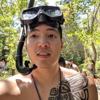 David Nguyen - @DavidNDev Twitter Profile Photo