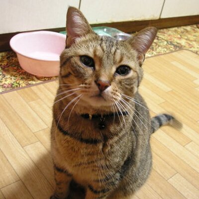 やましん