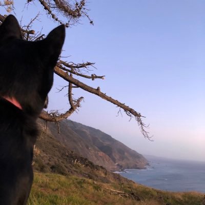 yanggangbaby1's profile picture. 22 y/o from California, supporting Andrew yang and the #yang gang, carpenter and hard worker, just wanna be the best version of me, follow the golden rule