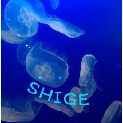 SHIGEさんのプロフィール画像