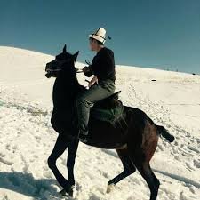 kyrgyzakivist's profile picture. Гражданский активист - диванный герой твоих грез