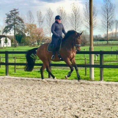 Moeder van de gebroeders den Hartog; D(14), T(11), en J(8), getrouwd met Kees, Paardensport, Vrienden, Loonbedrijf den Hartog in Culemborg