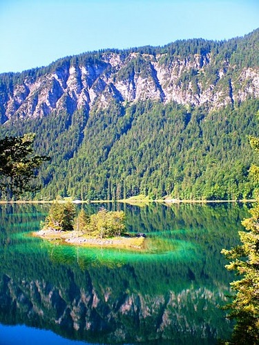 diwakert's profile picture. 