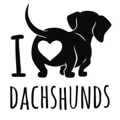 Dachshu97299552's profile picture. This is a Dachund Lovers Official Account.If you love Dachunds don't forget to follow us.
Facebook - https://t.co/Ta2bVkZ50I