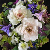 Alan Dunn Sugarcraft (@1bauhiniatree) 's Twitter Profile