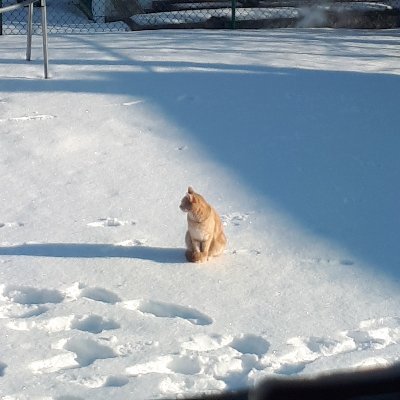 Ahsoka77's profile picture. not your ordinary girl/cupcake lover/gym lover/ball player/ mom of 2/runner/ kindness is the greatest love of all