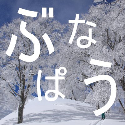 スキーが下手なのでテレマークしてます。
夏はクライミングができないので沢登りしてました。

https://t.co/9NDtAe0WPy