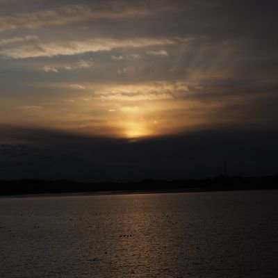 E3Ol3jLPj3uDCLi's profile picture. オーガズム