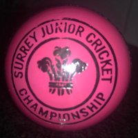Surrey Junior Cricket (@cricketinsurrey) 's Twitter Profile