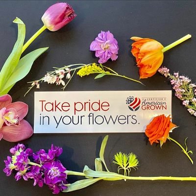 Fresh Cut Flowers shipped nationwide. leading luxury design, and fun flower swag. We are empire builders with a passion to change the world with flowers.