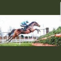 Absoluteracingtips89 (@absoluteracing2) 's Twitter Profile