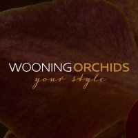 Wooning Orchids(@WooningOrchids) 's Twitter Profile Photo