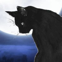 Black_Cat (@black_cat_sama) 's Twitter Profile