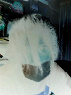 talbowz's profile picture. おはようからおやすみまで暮らしに夢を広げています。